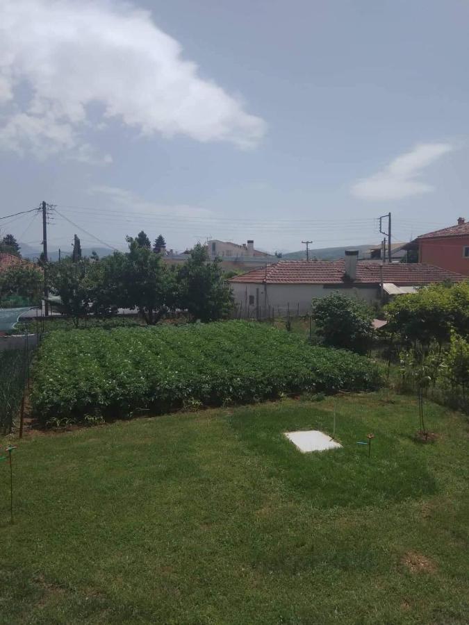 Dream House Ioannina Apartman Kültér fotó