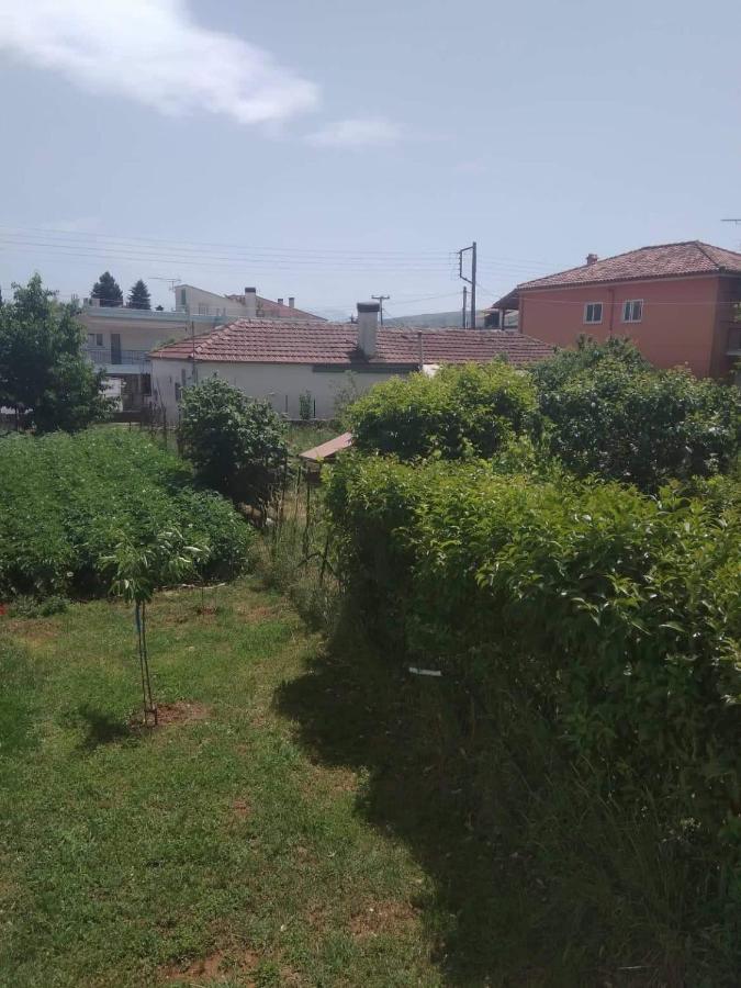 Dream House Ioannina Apartman Kültér fotó